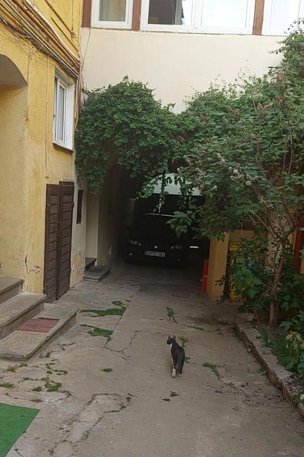 شقة Apartament Diaconu Coresi براشوف المظهر الخارجي الصورة